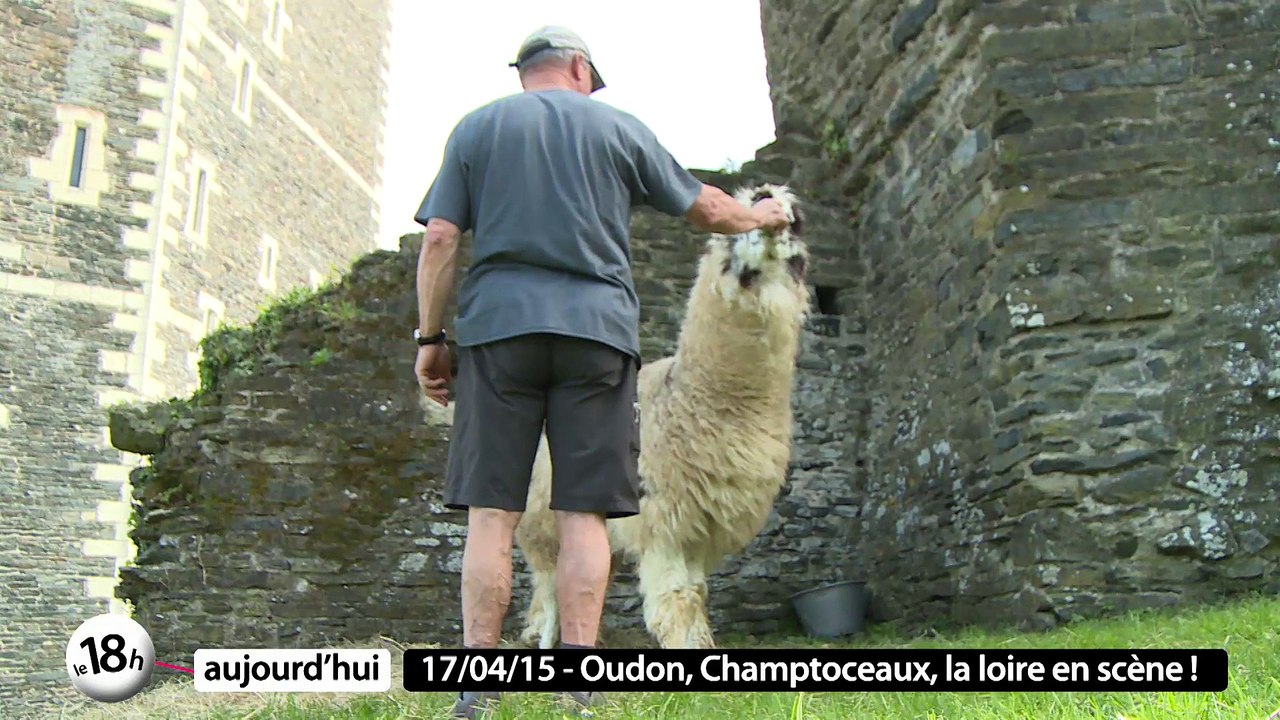 Le chateau d'Oudon/Loire en scène