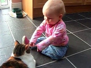 World s most tolerant cat