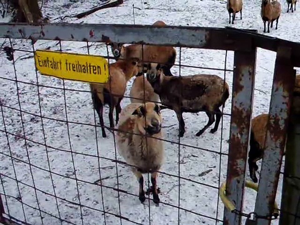 Burgdorf im Winter