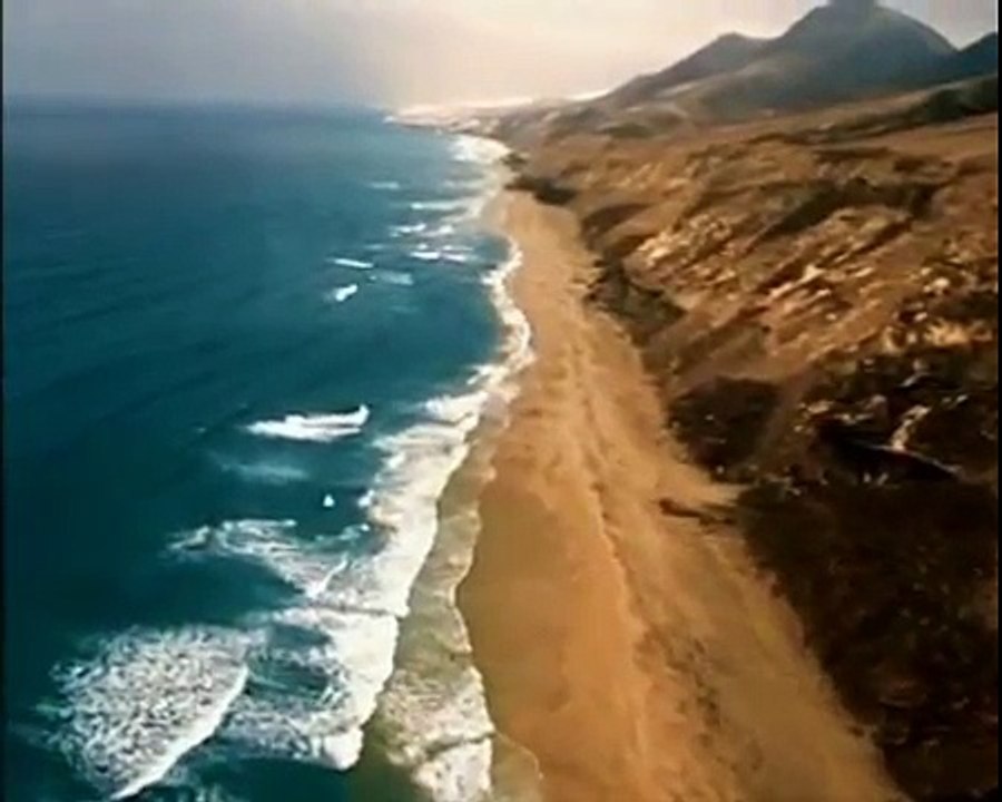 Caminando Entre Monstruos: Vida Antes de los Dinosaurios (2)