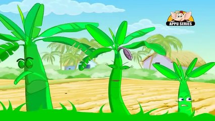 Learn about Plants in Hindi - Starting to Grow