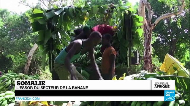 Face à l'afflux de réfugiés yéménites, Djibouti craint une infiltration jihadiste