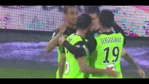 All Goals - Auxerre 2-3 Tours - 17-04-2015