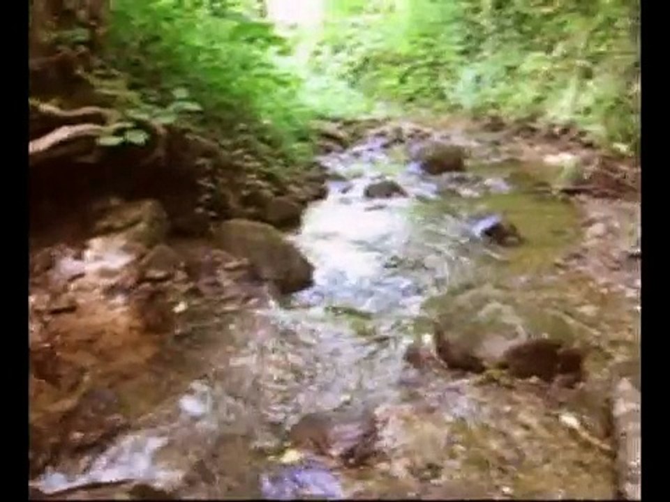 Alison Krauss- down in the river to pray- cover