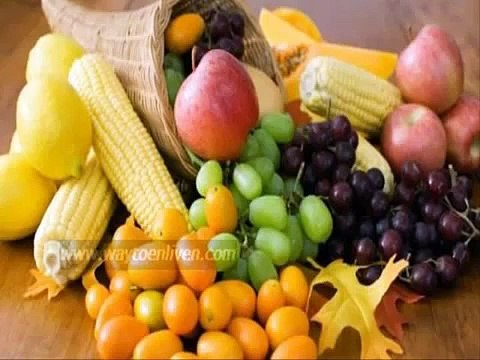 primal burn fat burner system- primal burn system