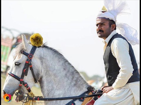 Horse cough(khansi) ka elaj Dr.Ashraf Sahibzada