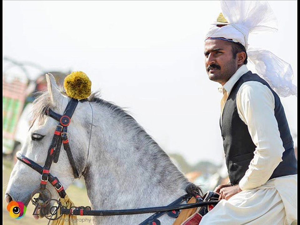 Horse cough(khansi) ka elaj Dr.Ashraf Sahibzada