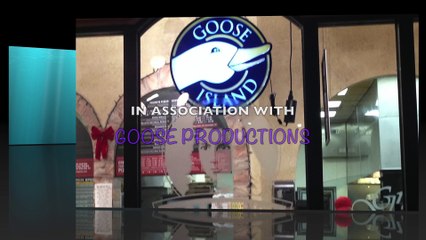 A Cat's View of What Happens to our Pees and Poops