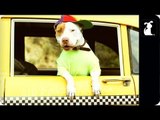 Fresh Prince of Bel Air - Fresh Pup of Bel Air - Parody