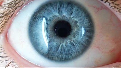 Technologie Optométrie – Ottawa, Ontario, Canada – Clinique d’optométrie McLeod