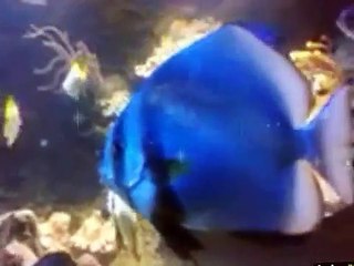 Une source de moral et de santé