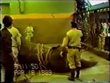 Asian Elephants: FREE CONTACT TRAINING OF ANNIE at Milwaukee Zoo (1989)