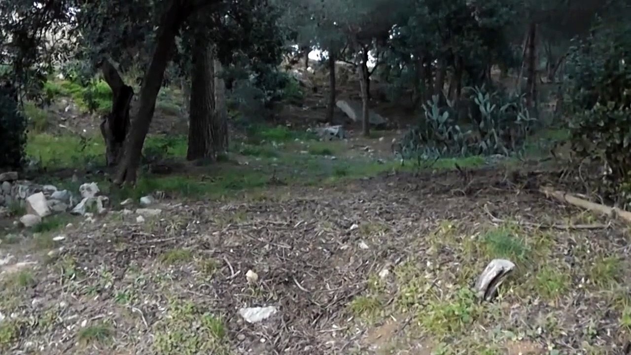 el ultimo superviviente