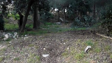 el ultimo superviviente