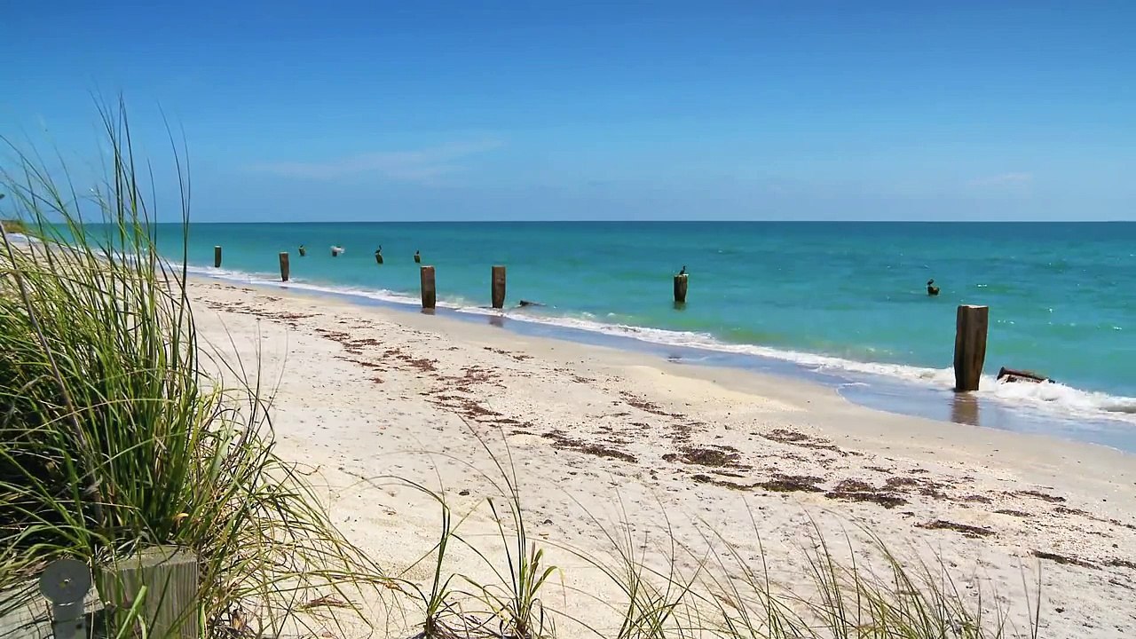 Clair de Lune - DEBUSSY, Classical Music #4 Piano Instrumental Moonlight HD Twilight Romantic slow