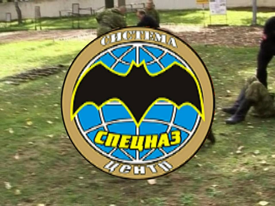 Systema in real combat