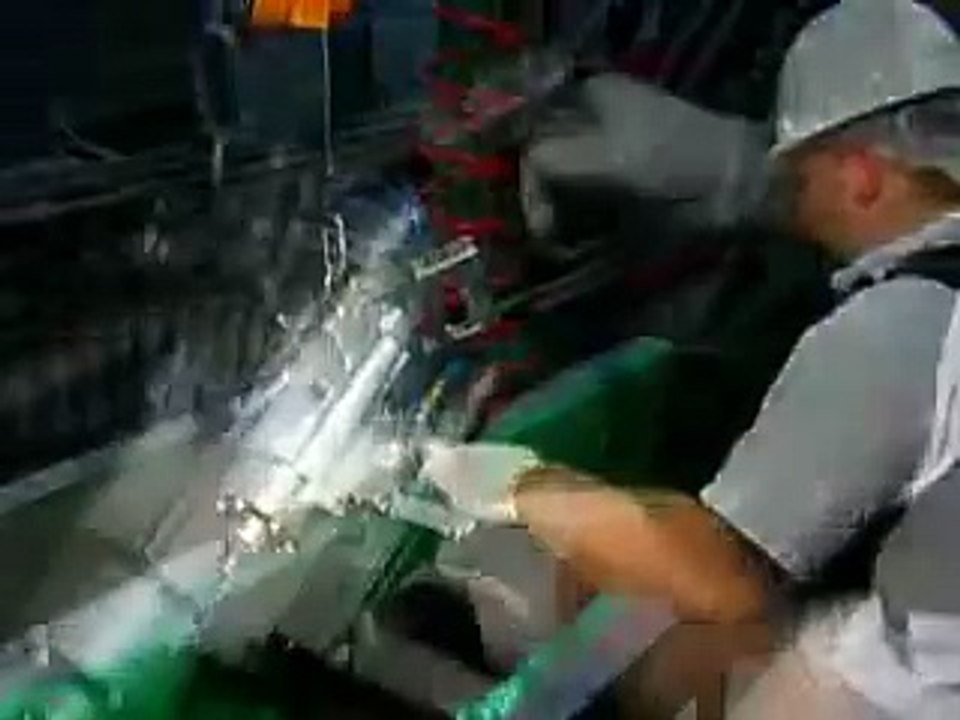 Captive Bolt Gun Cattle Stunner video Dailymotion