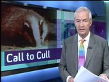 Badgers & TB - Channel 4 News