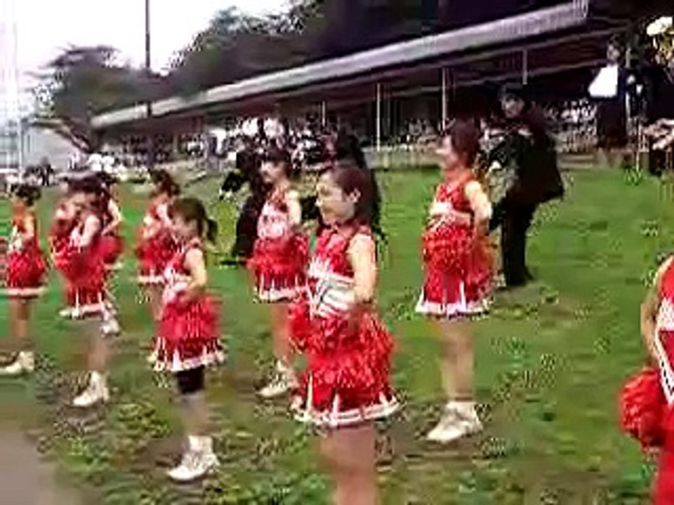 All Japan Rowing