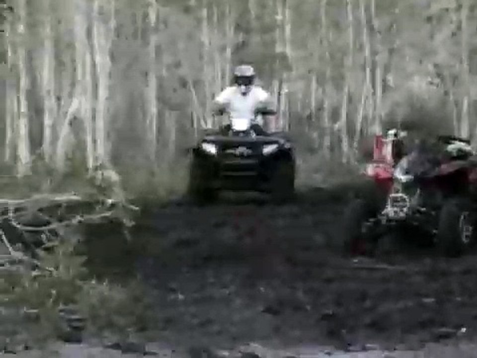 Polaris Sportsman 700