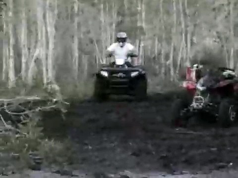 Polaris Sportsman 700