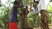 International Cocoa Initiative: Tackling Child Labour on Cocoa Growing  (Testimonies 1)