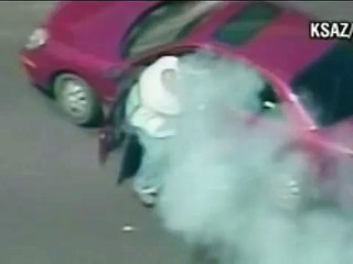 350lbs Man Fights Police Dog