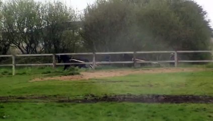 DECLIC SUR LA LIGNE DROITE ET DANS LES CAVALIERES