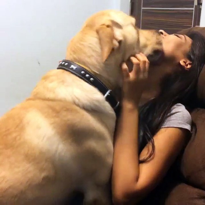 I love you Frisky