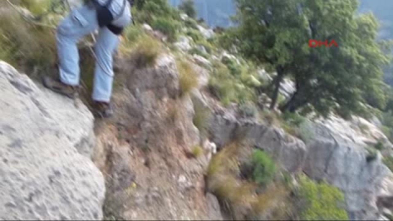 Fethiye Kelebekler Vadisi'nde Mahsur Kalan Oğlağı Akut Kurtardı