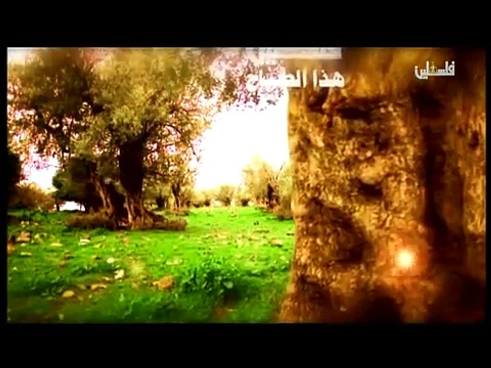 فلسطين هذا الصباح ج1 - 18/4/2015