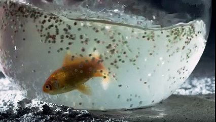 Zara Sa by Ali Asharaf – A Beautiful Romantic Song 🎶