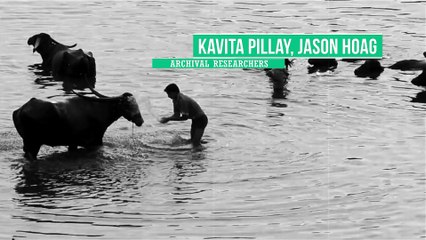 After Effects Project Files - Big Titles Slideshow - VideoHive 8867307