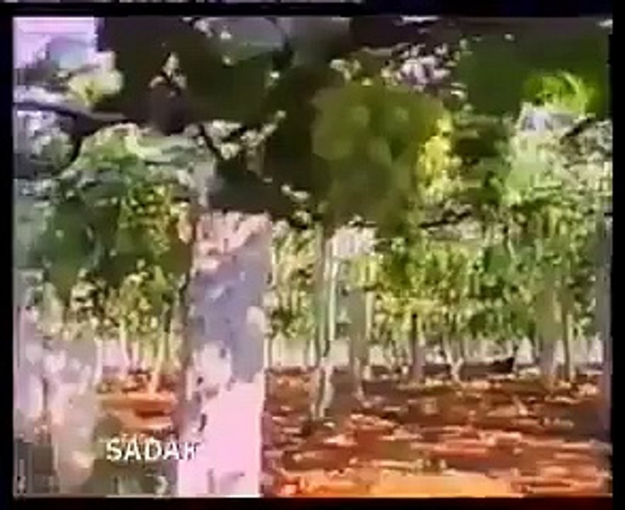 Qaroon Ka Khazana , Malika e Belqees Ka Kissaa With Video - History Of Islam -