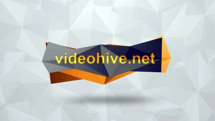 After Effects Project Files - Logo(Origami Bird) - VideoHive 8849100