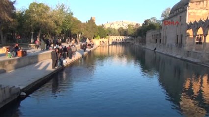 Şanlıurfa?da 100 Bin Kişiye Tirit Ziyafeti