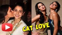 Anushka Sharma, Deepika Padukone, Priyanka Chopra | Bollywood Divas Cat Love - The Bollywood