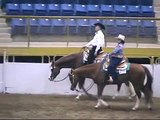 APHA Senior Western Pleasure-NWSS-Left