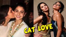 Anushka Sharma, Deepika Padukone, Priyanka Chopra | Bollywood Divas' Cat Love