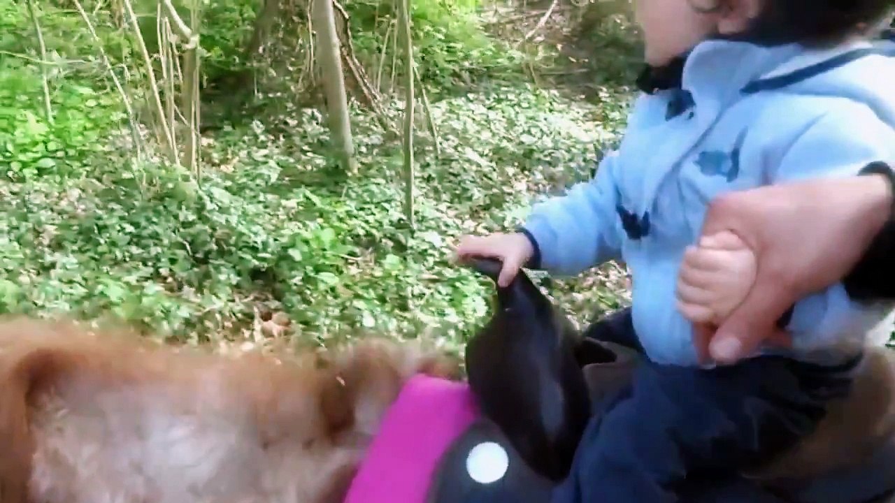 Ma première ballade à dos de poney !:)