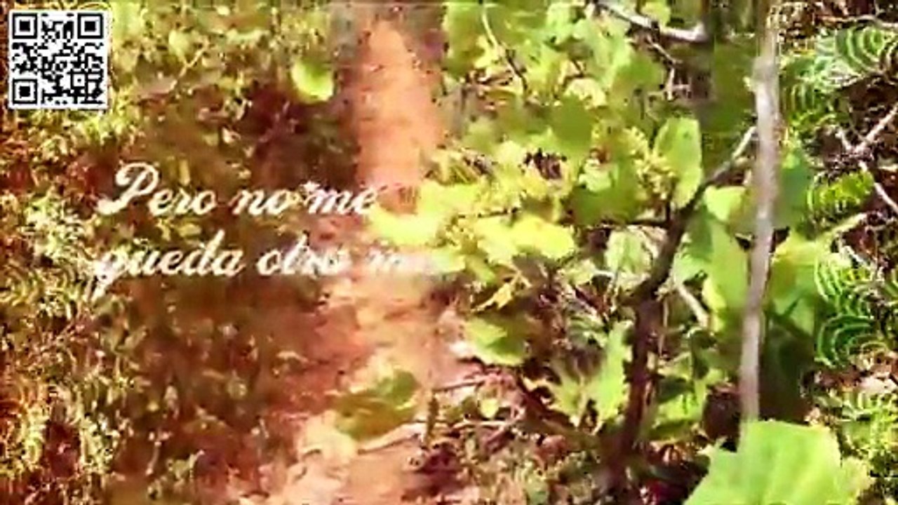 la shivi videos "Tocando el cielo" ~ Sie7e ~