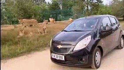 De unge mødre: Malou Stella i fare