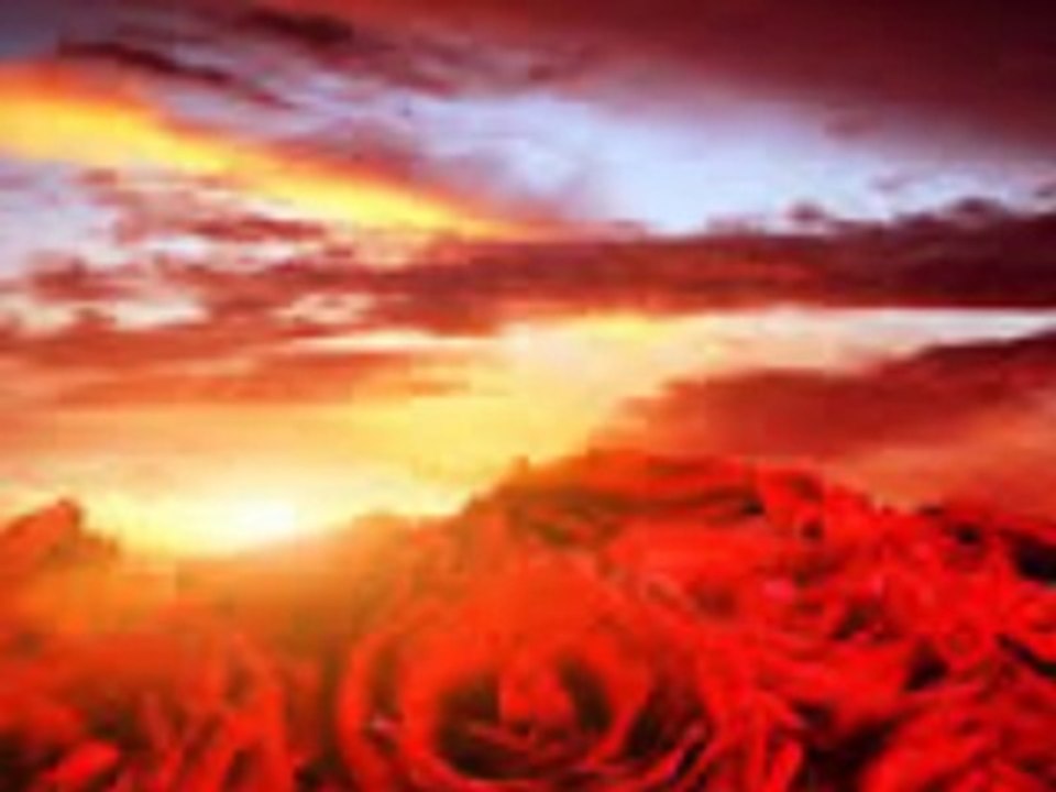 Oda Relicta - Lacrima et Rosa