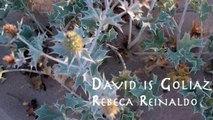 David Is Goliaz - Gimme Water Ft Rebeca Reinaldo (VIDEOCLIP)