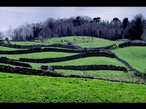 Neil Diamond - Coming to America