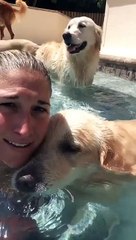 Un chien fait des bulles à la demande