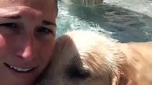 Un chien fait des bulles à la demande