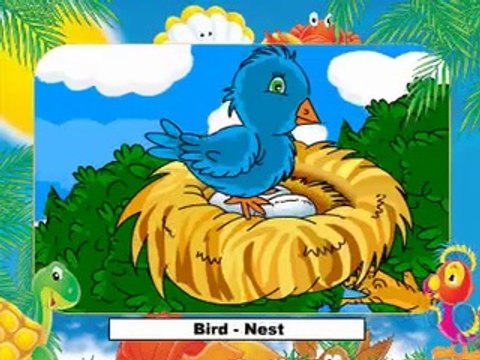 animals homes-animals-english words-how to learn vocabulary-learn english-learn words