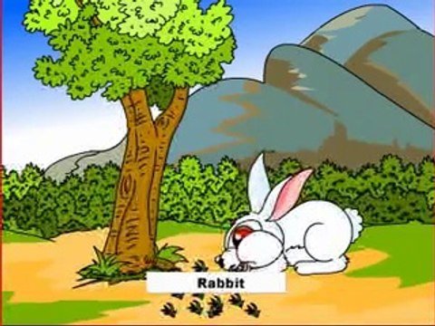 animals-animals names-animals names in english-birds-birds names in english-birds name