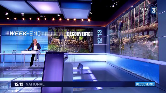 Un train de bois approvisionnera Paris cet été